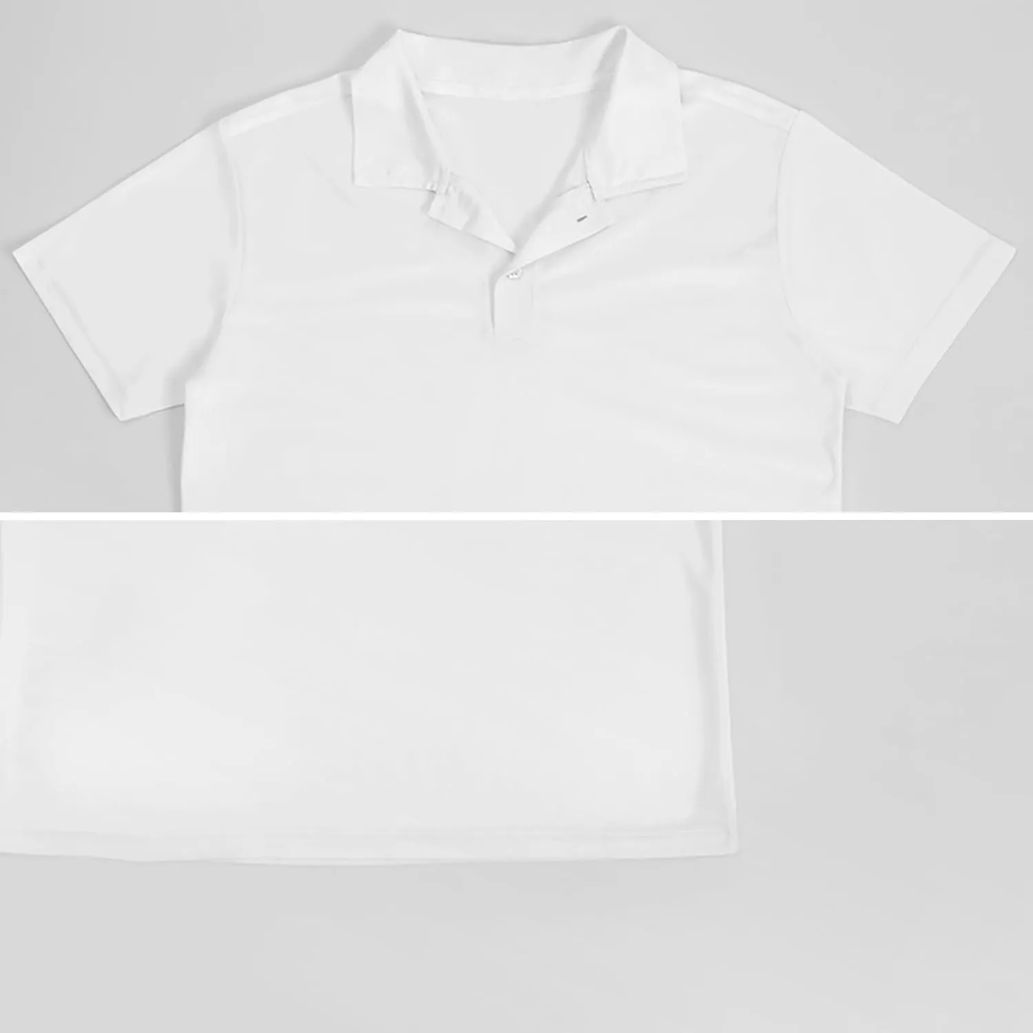 Lion Painting Men's Polo Shirt Short Sleeve Casual Athletic Quick Dry Golf T-Shirts